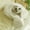 White, variant on Cozy Cat Bed for Indoor Cats - Design for Deep Sleep and Relaxation - Warm Pet Bed for Winter - Stylish Minimalist Animal