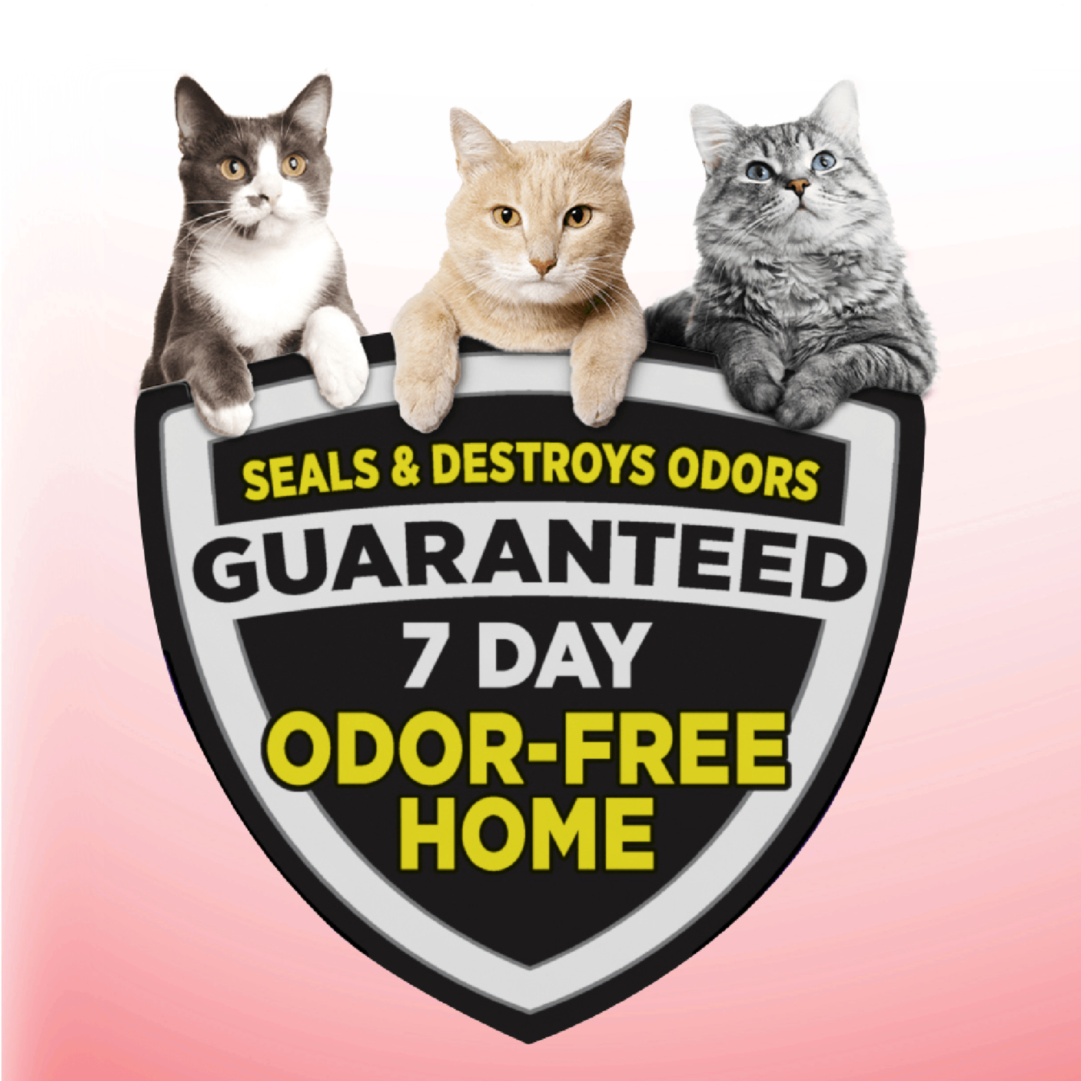ARM & HAMMER Clump & Seal Multi-Cat Odor Sealing Litter, 38 lb photo 2