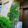 thumbnail image 3 of Garden Trellis, 2 Pack Metal Garden Trellis 86.7" x 19.7" Rustproof Trellis Outdoor Trellis for Climbing Plants Outdoor Flower Support, 3 of 6