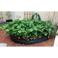 thumbnail image 4 of SMART POT Round Raised Bed Mini (24 in) - Black, 4 of 5