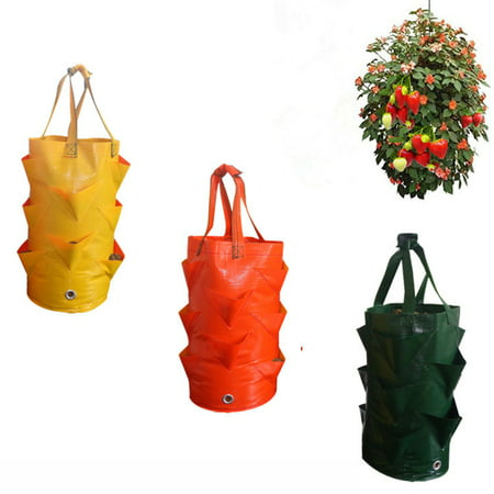 3Gallon Breathable Plant Grow Container Bag for Planting Vegetable Strawberry