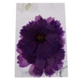 thumbnail image 2 of 4x10 Piezas Secas Prensadas Para Bricolaje Crafts Flor Sunnimix Flores secas prensadas, 2 of 8