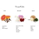 thumbnail image 4 of Perfume Frida Kahlo Red 2 ml Floral Eau de Toilette, 4 of 5