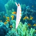thumbnail image 3 of Señuelos de pesca superiores de 130 mm que se hunden Minnow de agua de salada, lucios, señuelos duros de fundición larga, peso de tungsteno D, 3 of 7