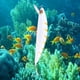 thumbnail image 3 of Señuelos de pesca superiores de 130 mm que se hunden Minnow de agua de salada, lucios, señuelos duros de fundición larga, peso de tungsteno D, 3 of 7
