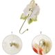 thumbnail image 5 of Rose Resin Wall Hooks Coat Rack Hat Hooks Wall Mounted Cute Wall Decor-Decorative Hooks for Hanging Bathroom Kitchen Room Towels Keys Coats Hats Bags,, 5 of 5