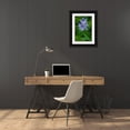 thumbnail image 3 of OBrien, Jay 23x32 Black Ornate Wood Framed with Double Matting Museum Art Print Titled - USA, Delaware, Wilmington, 3 of 4
