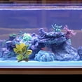 thumbnail image 3 of COOPHYA Fish Tank Artificial Plants Terrarium Decor Multi Plastic 1Pack, 3 of 6