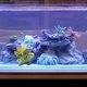 thumbnail image 4 of EXHUMKY Planta Artificial Para Acuario Multicolor Resistente Fácil Mantenimiento, 4 of 7