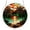 D, variant on Interactive Acrylic Puzzle Hanging Ornament, Assemble Piece by Piece to Create a Unique Decoration, Lightweight and Modern, Perfect for Walls, Windows, or Doorways, A Fun Craft for All Ages.