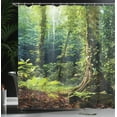 thumbnail image 4 of Ambesonne Rainforest Shower Curtain, Wild Ivy on Trees, 69"Wx84"L, Green Brown, 4 of 5
