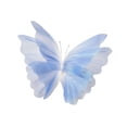 thumbnail image 2 of Adorno de mariposa gigante de gasa, hecho a mano, ligero, 3D, para colgar en la pared. Azul, 2 of 9