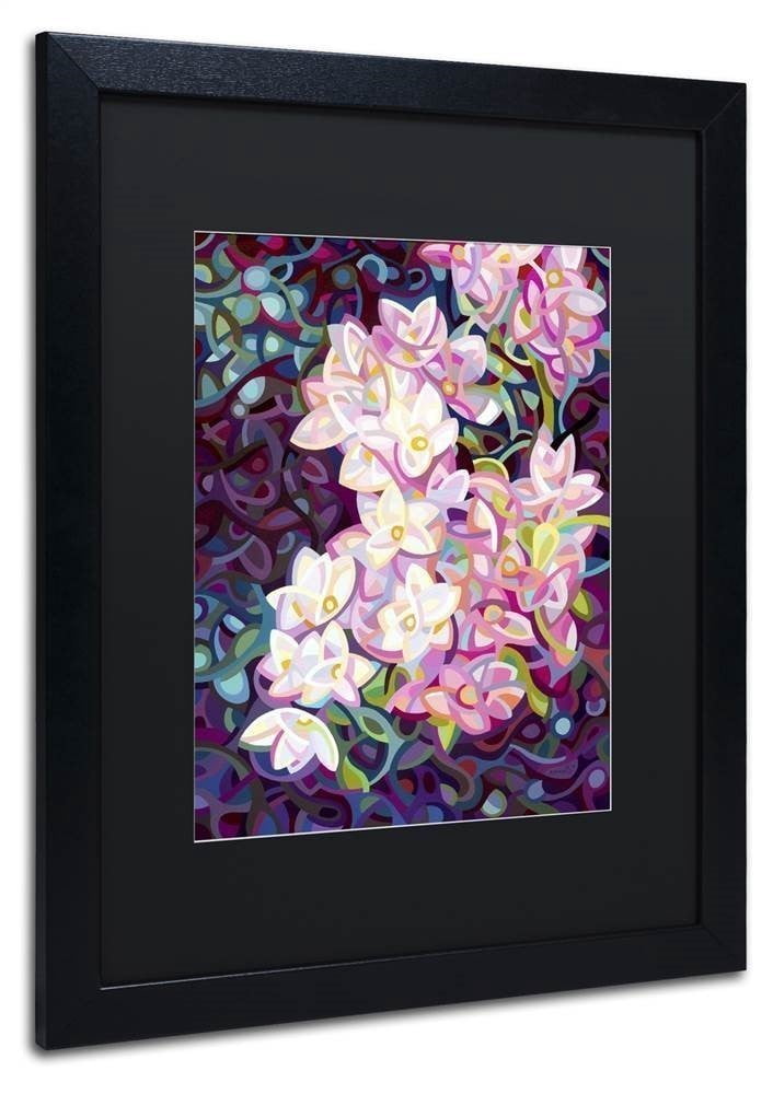 Trademark Fine Art "Cascade" Canvas Art by Mandy Budan, Black Matte, Black Frame