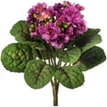 thumbnail image 2 of Violet Plant 12" - Purple, 2 of 2