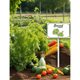 thumbnail image 4 of Eveokoki Vegetable Signs With Stake Broccoli Garden Signs For Vegetables Herb Garden Signs Garden Name Stakes For Plants 8x12inch Outdoor Indoor Herbs Flowers Potted Plants, 4 of 6