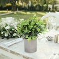 thumbnail image 5 of Pretyzoom 3Pcs Faux Eucalyptus Bonsai Potted Plants for Kitchen Table and Desktop Greenery Decor, 5 of 5