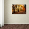thumbnail image 3 of Trademark Fine Art "Autumn Leaves Pathway" Canvas Art by Philippe Sainte-Laudy, 3 of 3