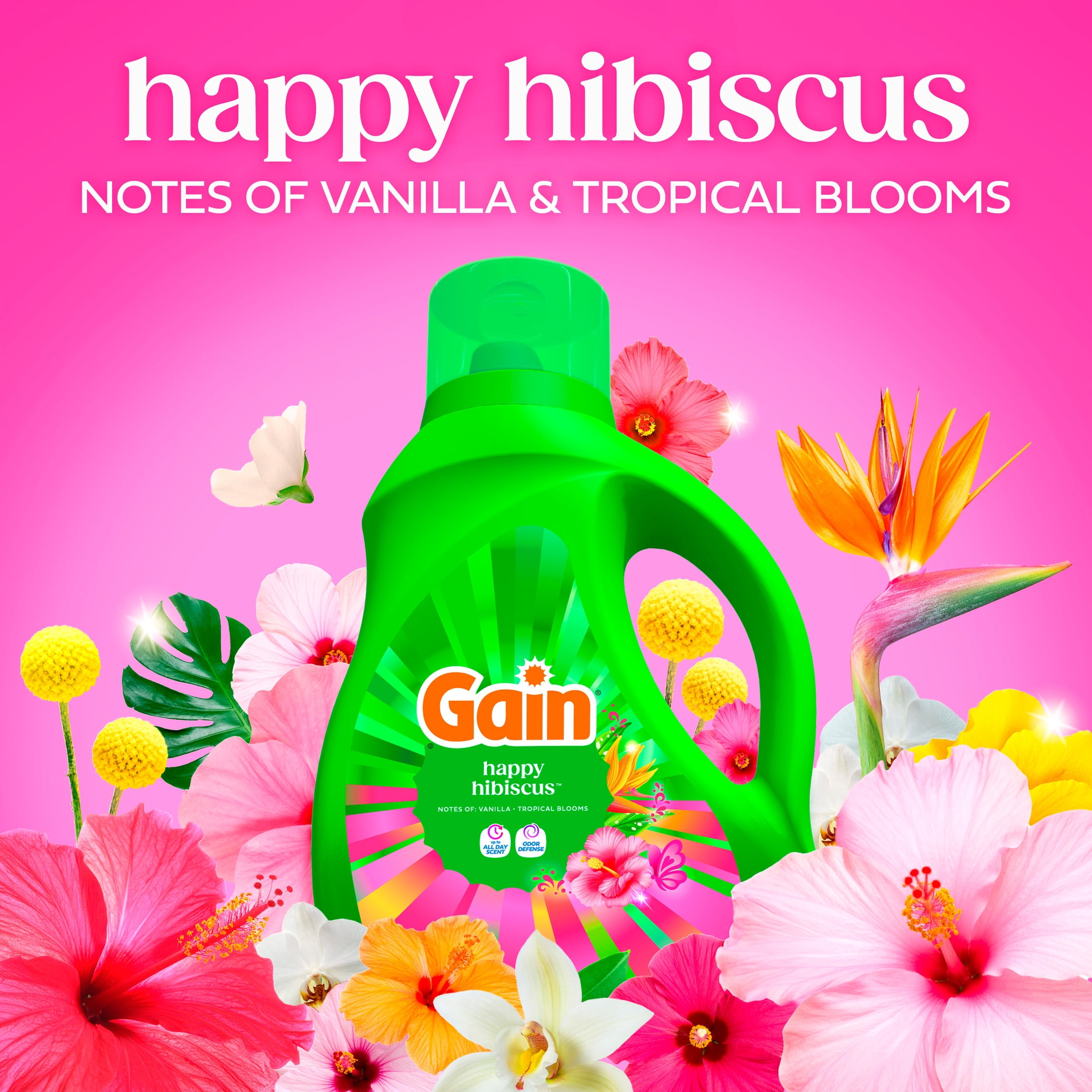 (4 pack) Gain Laundry Detergent Liquid, Now with Odor Defense, Happy Hibiscus Scent, 81 fl oz, 61 Loads