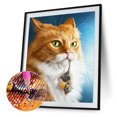 thumbnail image 1 of Cuadros Decorativos 5D DIY Diamond Painting Kits Full Round Drill Animal Wall Picture Rhinestone Art Ehuebsd embutido en tela, 1 of 1