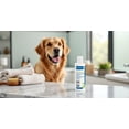 thumbnail image 3 of Shampoo Virbac ALLERGROOM 473 ml para perros, gatos y caballos, 3 of 5