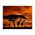 thumbnail image 1 of fastboy Giraffe Penguin Dove Resin Diamond Needlework DIY 5D Animal Rhinestone Painting Crystal Embroidery Home Office Cross Stitch, 1 of 9