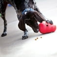 thumbnail image 3 of KONG® Wobbler Food-Dispensing Dog Toy, Red, Large for Dogs Between 30-65 lbs, 3 of 6
