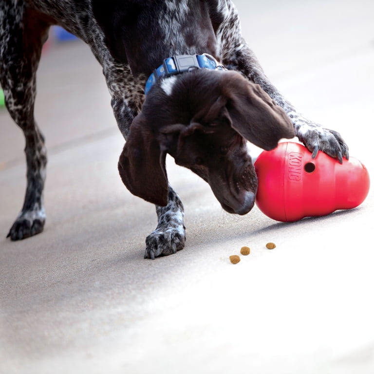 Jouet Interactif Wobble Ball Pour Chien - Avec Couineur - En Peluche Lavable - Remplissage Recyclé - Jouet Distributeur De Friandises