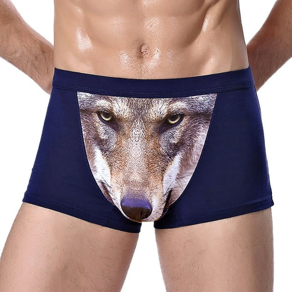 TSADFHJI Manmade Underwear Men Men's Shorts Underwear Pants Briefs Lingerie Men's Underwear L Blue