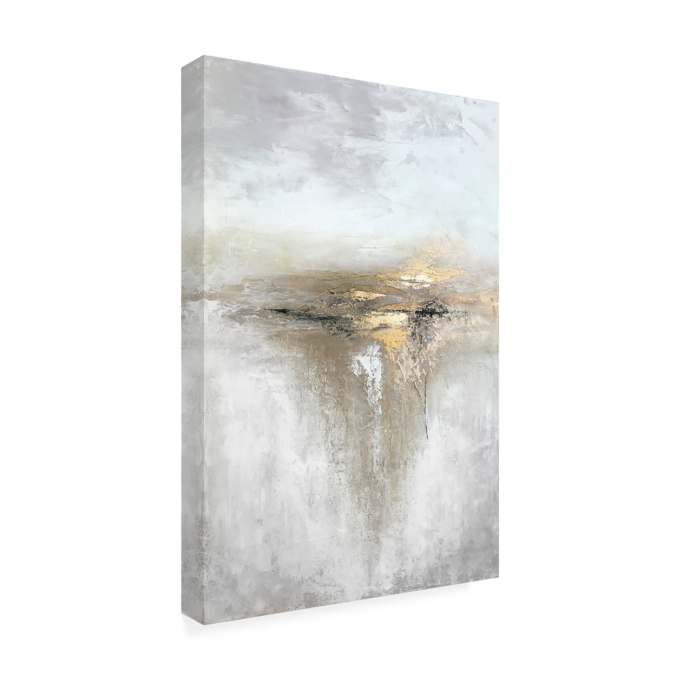 Trademark Fine Art Alyson Storms Pyrite Canvas Wall Art