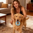 thumbnail image 4 of Pet Toys, Dog Toys, Hedgehog Chew Rings, Teething Chew Sticks, 4 of 6