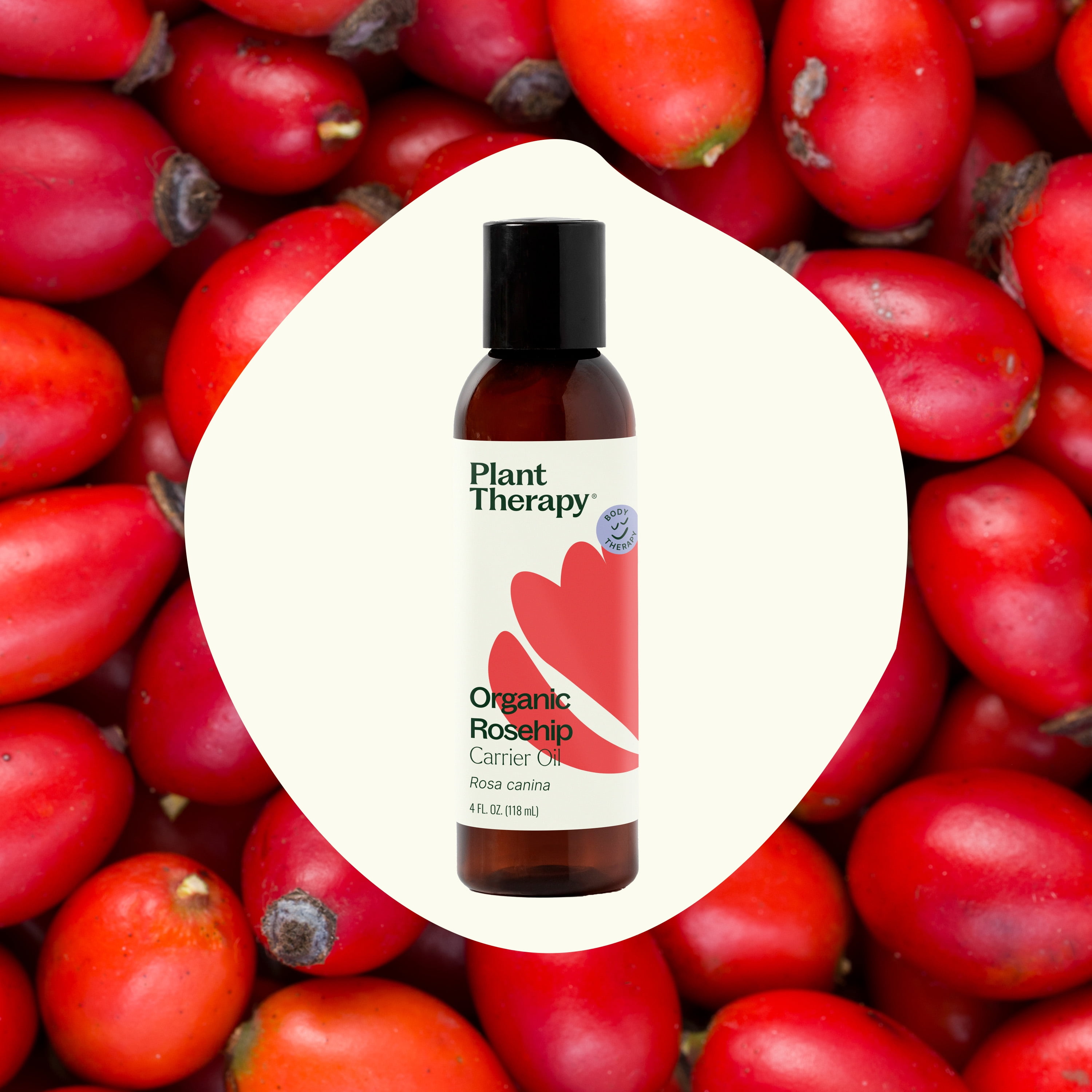 Plant Therapy Organic Rosehip Carrier Oil 4 oz Cold Pressed, Extra Virgin, Vitamins A and E & Essential Fatty Acids