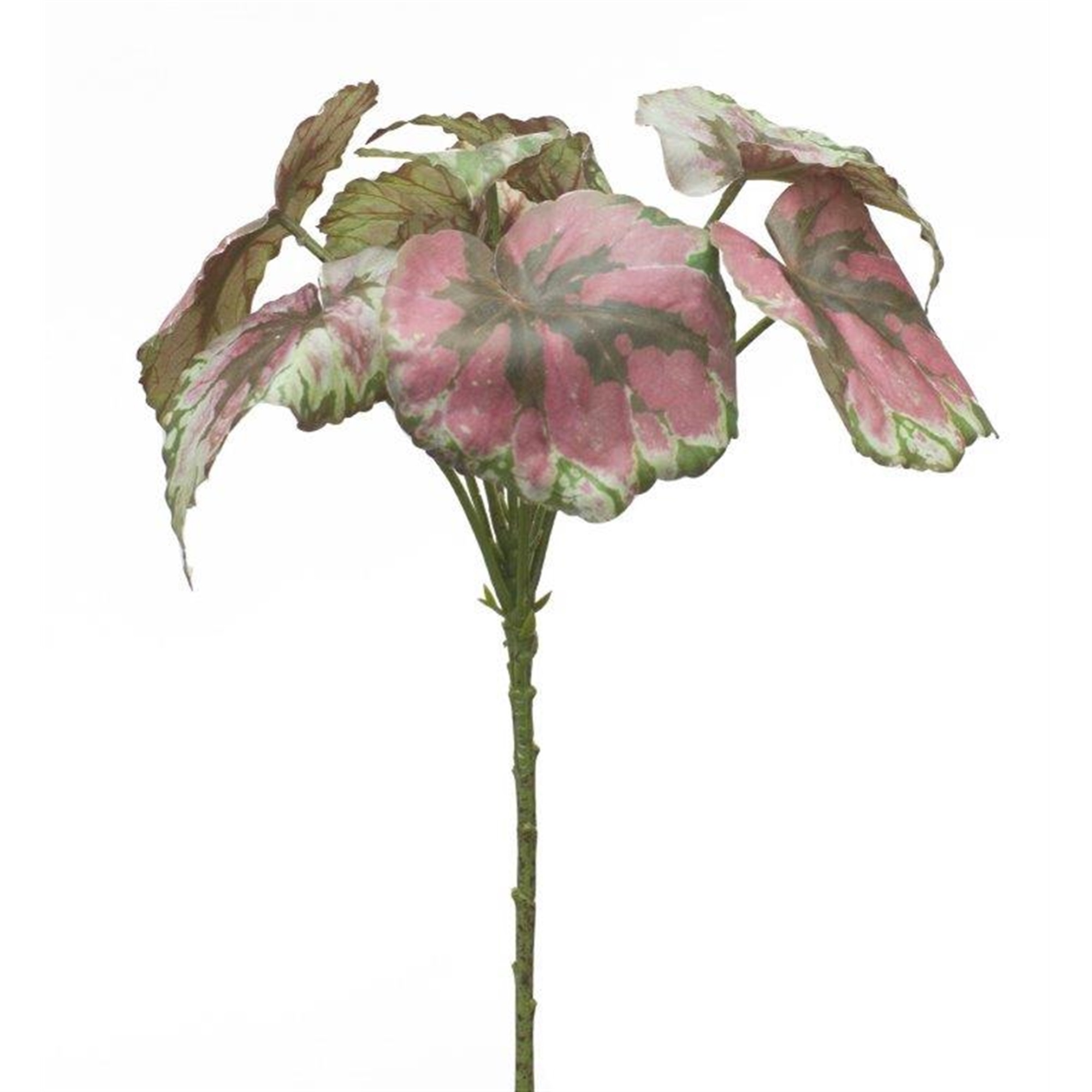 Begonia Leaf (Set of 2) 11.5"H Polyester