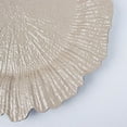 thumbnail image 5 of BalsaCircle 6 Taupe 13" Acrylic Wooden Textured Round Reef Charger Plates, 5 of 6
