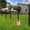 Black, variant on Heavy Duty U-Channel Metal Fence Posts, No Dig Steel Fence Stakes with Anchor Plates for Yard Garden Wire Fencing, Multi-size Available