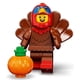 thumbnail image 1 of Disfraz de pavo LEGO 71034, 1 of 3