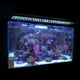 thumbnail image 3 of Luz de acuario LED Zulema 60cm 18W luz de acuario, 3 of 7