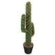thumbnail image 2 of Estatua de cactus artificial, cactus grande en maceta, planta de simulación, bonsái, decoración de plantas tropicales, 2 of 3