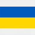 thumbnail image 3 of CafePress - Flag Of Ukraine Sweatshirt - Kids Hooded Sweatshirt, Classic Hoodie, 3 of 4