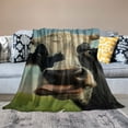 thumbnail image 2 of Orinice Cow Theme Warm Lightweight Blanket Soft Fleece Throw Blanket for All Seasons - Living Room Sofa Decor, Ideal Cow Gifts, Super Soft Flannel Material Blanket 50x60in, 2 of 6