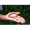 thumbnail image 3 of Tibet Mala Rudraksha Seed Wrist Mala Bracelet Meditation healing beads (Plain), 3 of 6