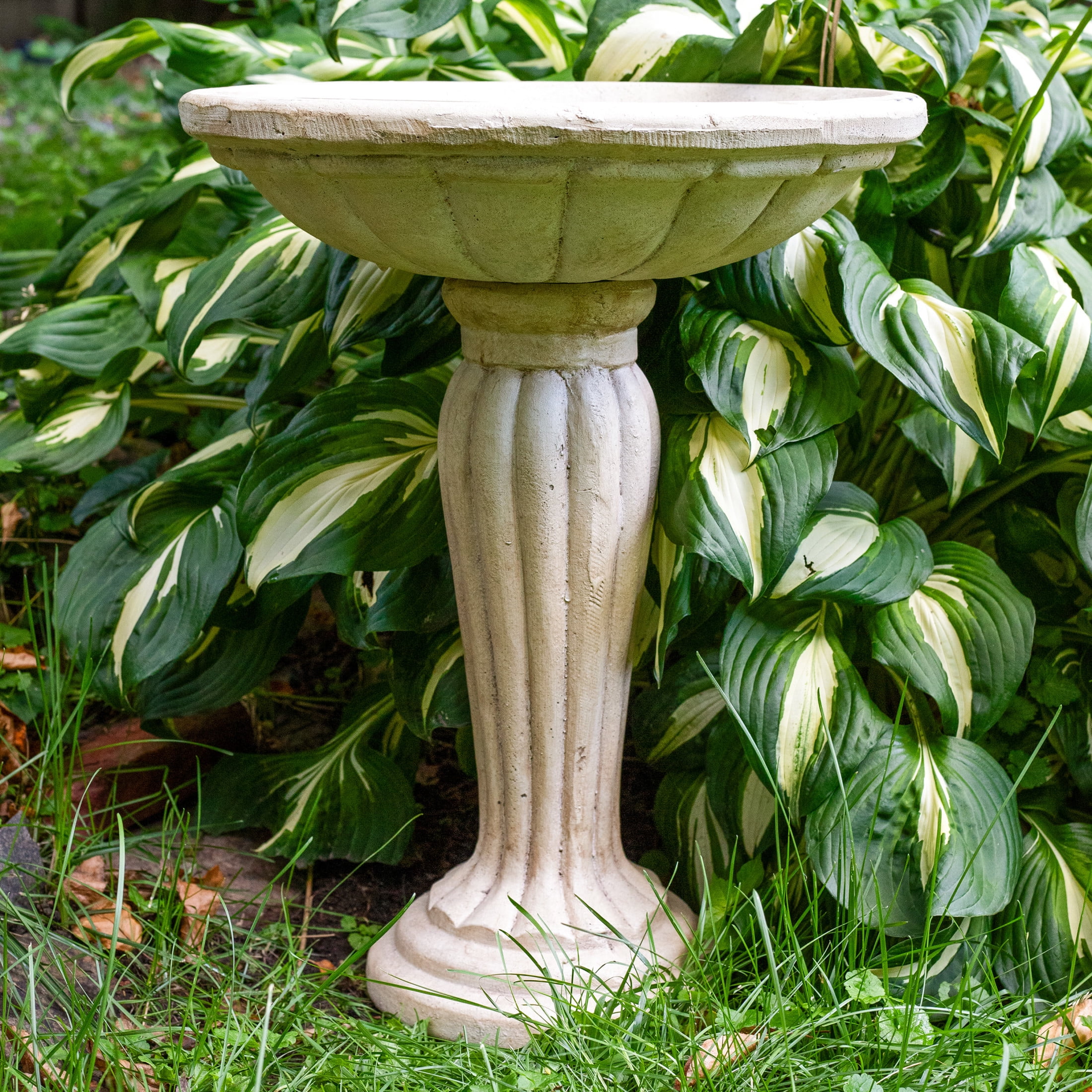 Sunnydaze Grecian Column Freestanding Glass Fiber Reinforced Concrete Outdoor Bird Bath, White