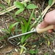 thumbnail image 4 of Gancho para herramienta de deshierbe y jardinería, artefacto para arrancar hierba, familia de flores, pala pequeña, pala de Canola, estrangulador de dibujo de acero inoxidable, 1 Uds. JM, 4 of 5
