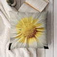 thumbnail image 3 of YINGXI  Throw Pillow Covers Beautiful White Daisy Bloom Flower Super Soft Pillow Covers Decorative for Couch Bedroom Living 22x22in, 3 of 5