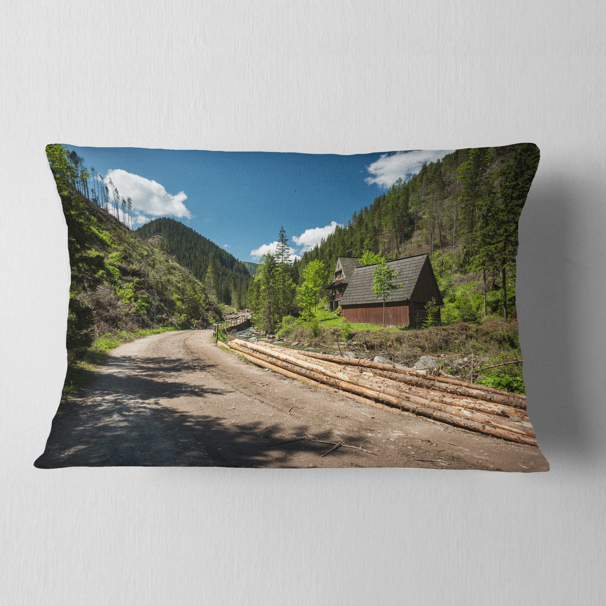 Designart Road in Chocholowska Valley - Landscape Printed Throw Pillow - 12x20