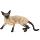 thumbnail image 5 of Figura de gato escultura de gato realista de gato pequeña figura de gato escritorio adorno de gato figura, 5 of 5