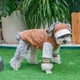 thumbnail image 5 of Double Sided Wearable Dog Clothing Pet Autumn Winter Coats Plush Teddy Frise Shiba Dogs Schneider Cat Clothes Fashion Jackets ShopWise Round, 5 of 6