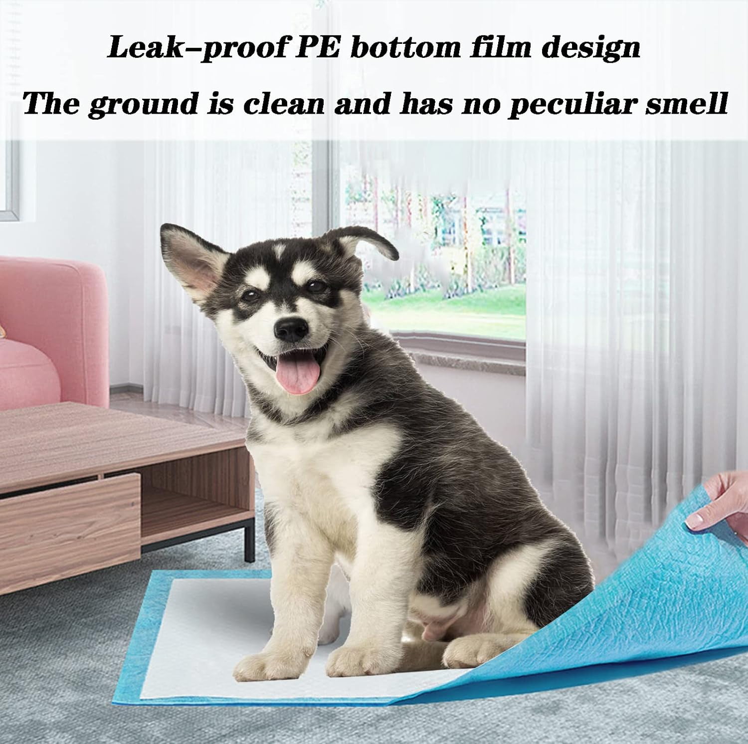 40 Count Dog Pee Pads Extra Large,36"x36"Pee Pads for Dogs Absorbent & Leak-Proof,Disposable Pet Training and Puppy Pads for Cats Dogs Rabbit