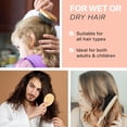 thumbnail image 7 of Detangler Brush Hair Brush - Hair Brushes for Women, Mens Hair Brush, Kids Hair Brush, Use With Hair Products, Wet or Dry Detangling Brush, Hair Detangler Bristle Brush, Bamboo Hair Brush (1 pack), 7 of 7