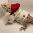 HNGMEI Stylish Handmade Lizards Clothes for Reptiles Bearded Dragon