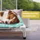 thumbnail image 2 of Cama elevada para perros Modorki Cuna elevada desmontable PVC 20 x 17 pulgadas, 2 of 5